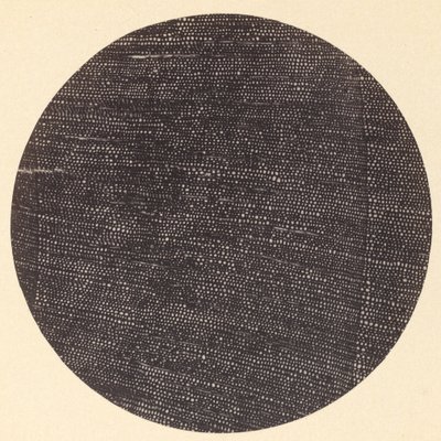 Microfotografie van dwarsdoorsnede van hout Salisburia, 1870s door Arthur Durham