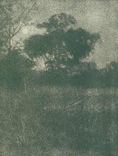 Maanlicht door Arthur E. Becher