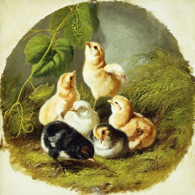 Kuikens, 1863 door Arthur Fitzwilliam Tait