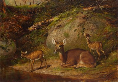 Hinde en Twee Reekalfjes, 1882 door Arthur Fitzwilliam Tait
