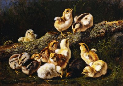 Kleine huisdieren door Arthur Fitzwilliam Tait
