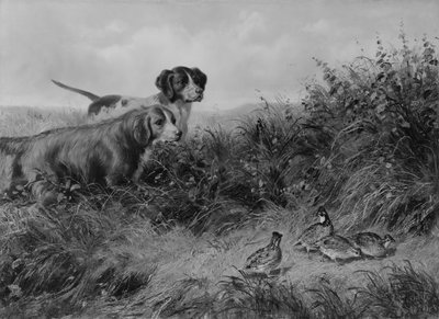 Op punt, 1874 door Arthur Fitzwilliam Tait