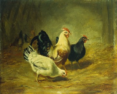 Pluimvee Voeding door Arthur Fitzwilliam Tait