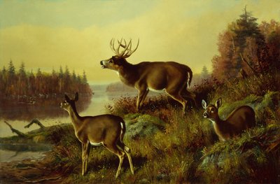 De uitdaging door Arthur Fitzwilliam Tait