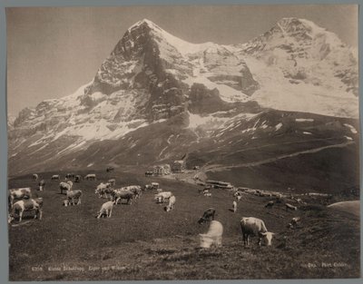 Koeien op de Kleine Scheidegg in het Berner Oberland, op de achtergrond de Eiger en de Mönch (detail) door Arthur Gabler