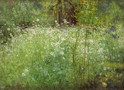 Oxeeye Madeliefjes en Irissen, 1920 door Arthur Hacker