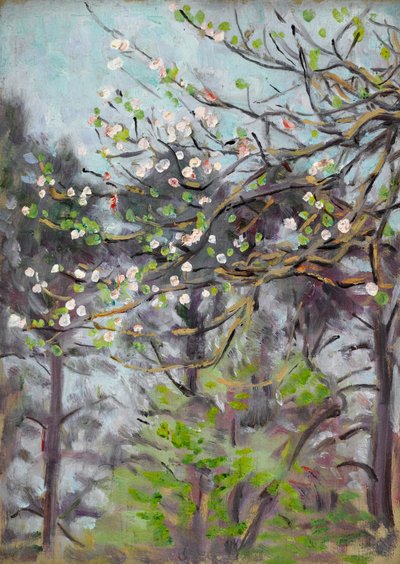 Kersenboom in bloei met pijnbomen op de achtergrond door Arthur Haythorne Studd