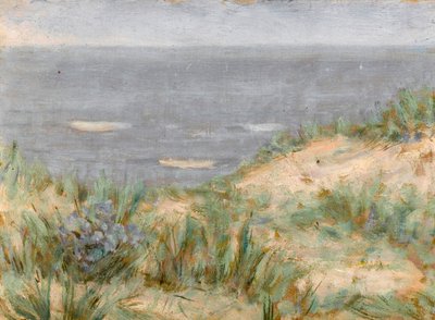 Zeezicht met duinen, bloeiende zeekraal door Arthur Haythorne Studd