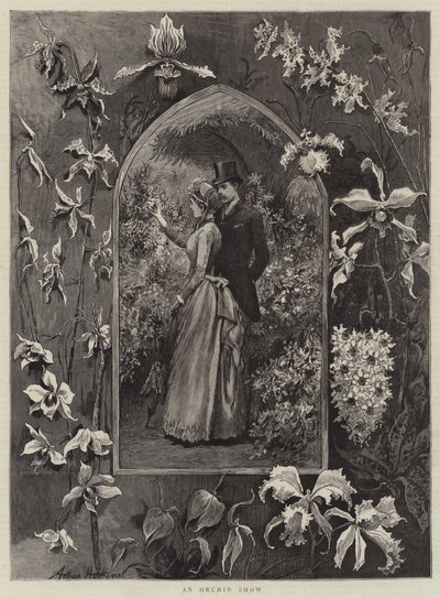 Een Orchideeëntentoonstelling door Arthur Hopkins