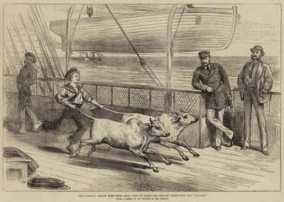 De reis van de prins naar huis vanuit India, leven aan boord van de Serapis, het oefenen van de Gainees door Arthur Hopkins