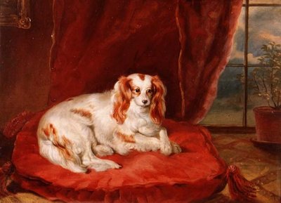 Een Cavalier King Charles Spaniël liggend op een rood kussen door Arthur J. Stark