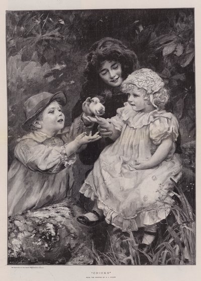 Kuikens door Arthur John Elsley