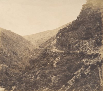 Op de Weg naar Watersmeet, nabij Lynton, Noord-Devon, 1856 door Arthur Julius Pollock