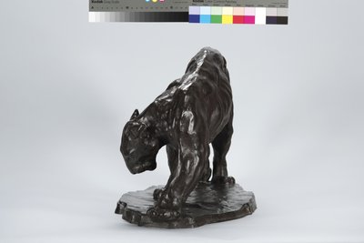 Grote Puma die een Os Spoor Ruikt door Arthur Putnam