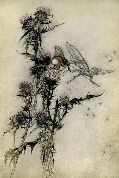 Een Midzomernachtsdroom door Arthur Rackham