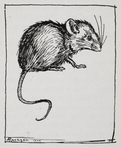 Een muis door Arthur Rackham