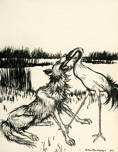 Aesopus