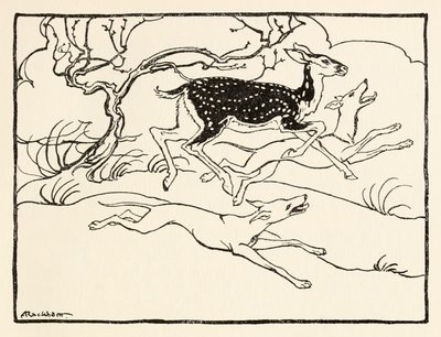 Becfola in haar wagen, uit De vrijage van Becfola in Ierse sprookjes door Arthur Rackham