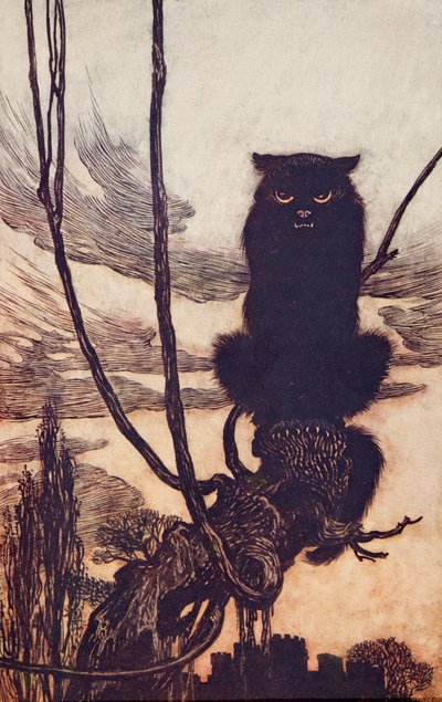Overdag veranderde ze zichzelf in een kat, uit De Sprookjes van de Gebroeders Grimm, pub. 1909 door Arthur Rackham
