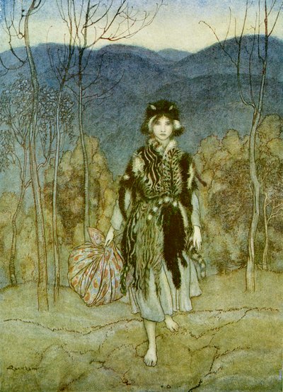 Kattenvel door Arthur Rackham