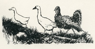 Henny-Penny door Arthur Rackham