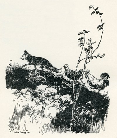 Henny-Penny door Arthur Rackham