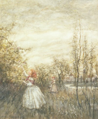 Kamperfoelie, 1905 door Arthur Rackham