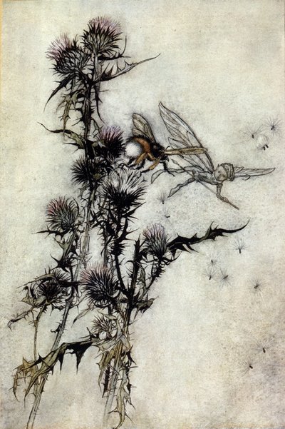 Illustratie door Arthur RACKHAM (1867-1939) voor De Droom van een Zomernacht door William SHAKESPEARE door Arthur Rackham
