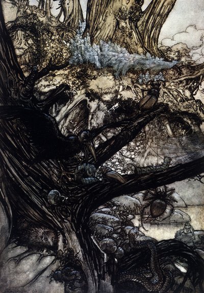 Illustratie door Arthur RACKHAM (1867-1939) voor De Droom van een Zomernacht door William SHAKESPEARE door Arthur Rackham