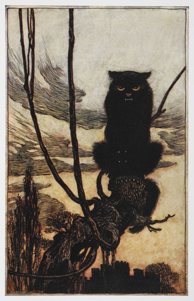Illustratie van een zwarte kat uit Jorinde en Joringel door Arthur Rackham