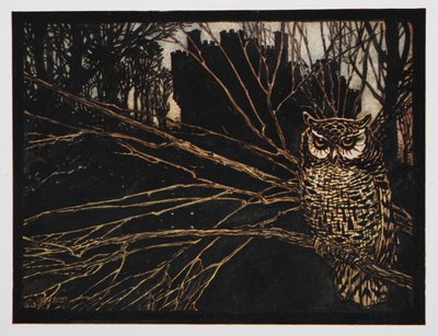 Illustratie uit Jorinda en Joringel van een kerkuil. door Arthur Rackham