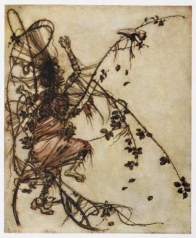 Illustratie van een man gevangen in doornen uit Lieve Roland door Arthur Rackham