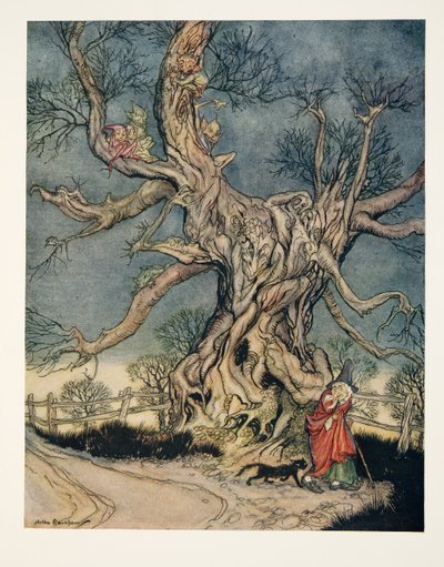 Major Andres boom, uit De Legende van Sleepy Hollow door Washington Irving (1783 - 1859), pub. 1928 door Arthur Rackham