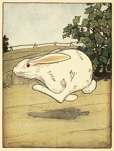 Peter stopte nooit met rennen, uit The Tale of Peter Rabbit, uitgegeven 1916 door Arthur Rackham