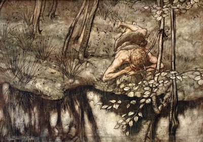 Siegfried ziet zichzelf in de stroom, 1924 door Arthur Rackham