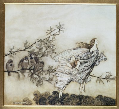 De Feeën hebben ruzie met de Vogels, illustratie uit 1906 voor Peter Pan in Kensington Gardens door J.M. Barrie, uitgegeven 1906 door Arthur Rackham