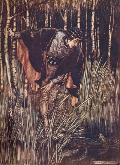 De vissen, in hun vreugde, strekten hun hoofden boven het water uit en beloofden hem te belonen, uit De Sprookjes van de Gebroeders Grimm, uitgegeven 1909 door Arthur Rackham