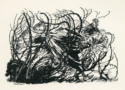 De drie hoofden van de bron door Arthur Rackham