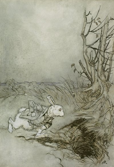 Het Witte Konijn, illustratie uit 