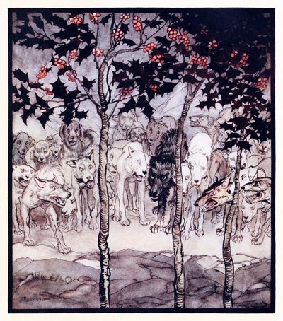 Ze stonden buiten, vervuld van woede en angst, uit De betoverde grot van Cesh Corran in Ierse sprookjes door Arthur Rackham