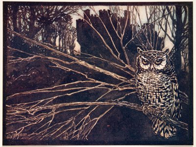 Of een schreeuwuil, uit De Sprookjes van de Gebroeders Grimm, pub. 1909 door Arthur Rackham