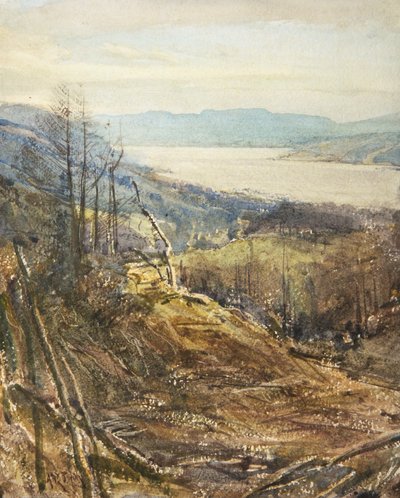 Coniston vanaf nabij Tarn Hows door Arthur Reginald Smith