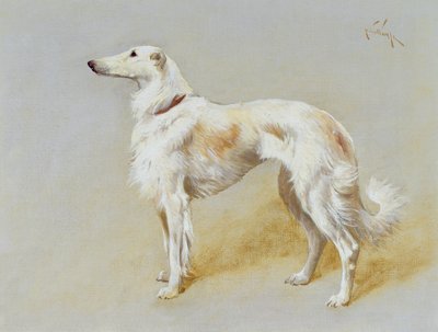 Een Borzoi hond door Arthur Wardle