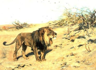 Een Leeuw Tussen Struiken door Arthur Wardle