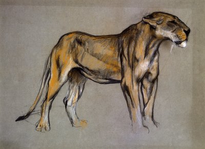 Een Leeuwin, ca. 1900 (pastel op grijs papier) door Arthur Wardle