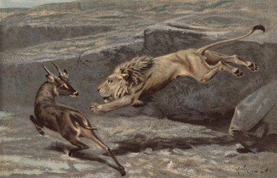 Een Nachtelijke Aanval door Arthur Wardle
