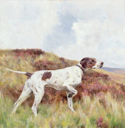 Een Pointer door Arthur Wardle