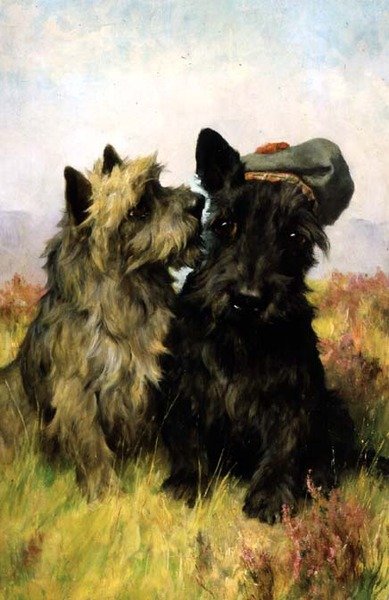 Naar het Gras door Arthur Wardle