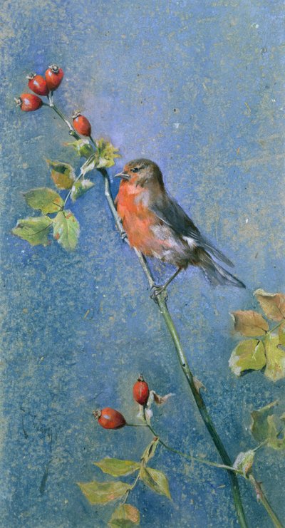 Roodborstje op een tak door Arthur Wardle