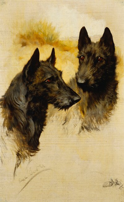 Twee Schotse Terriërs door Arthur Wardle